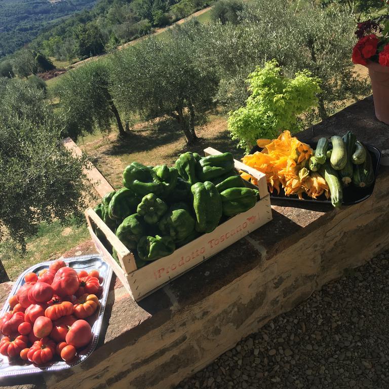 I Casali Del Trebbiolo Villa Molino del Piano Екстериор снимка
